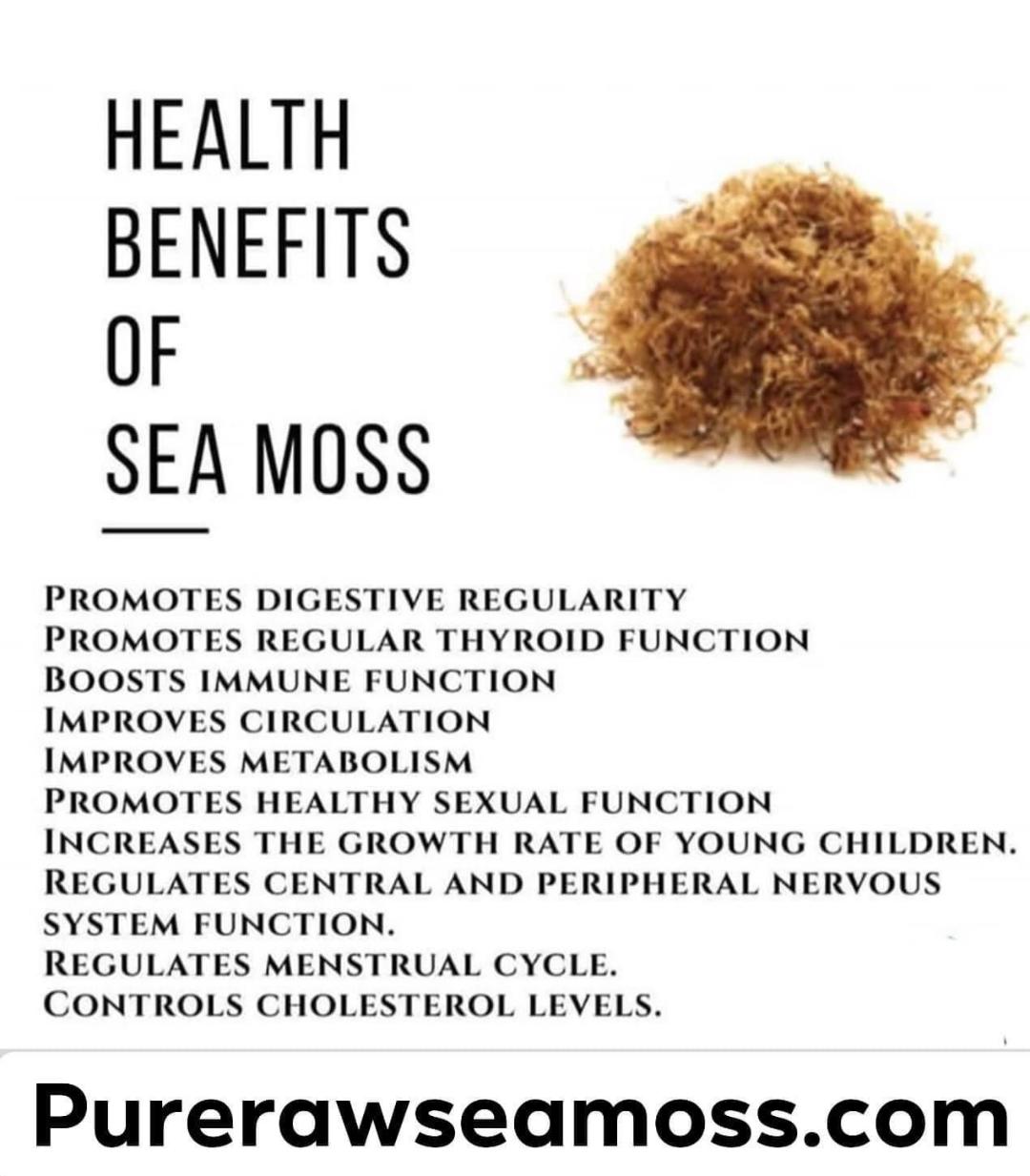 1/2 Pound - Organic Wildcrafted SEA MOSS ***SHIPS WITHIN 48 HRS!