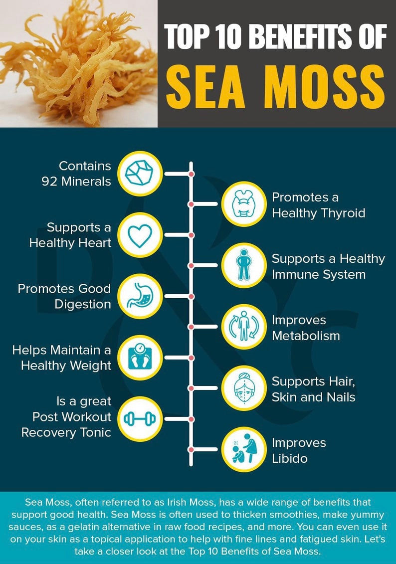 1/2 Pound - Organic Wildcrafted SEA MOSS ***SHIPS WITHIN 48 HRS!